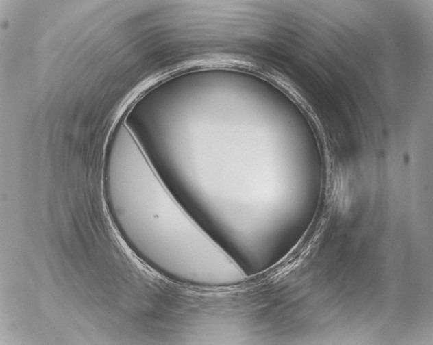X0000056370853200508260918