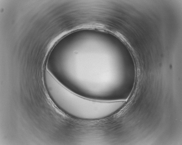 X0000056370854200508260918
