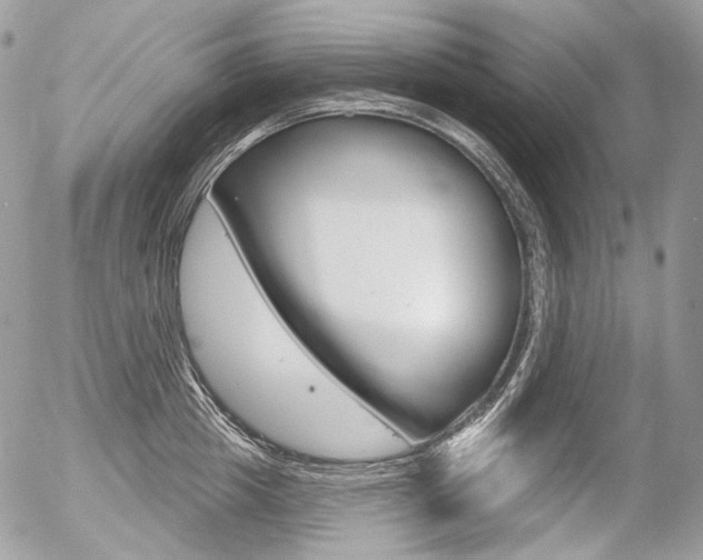 X0000056370857200508260919
