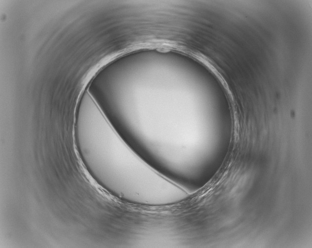 X0000056370861200508260919