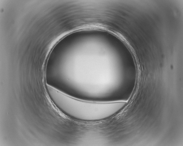 X0000056370862200508260919