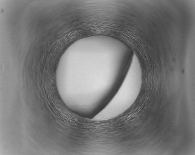 X0000056370865200508260918