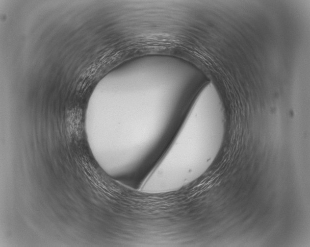X0000056370867200508260918