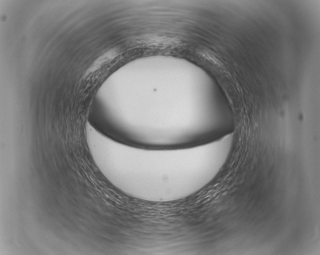 X0000056370869200508260918