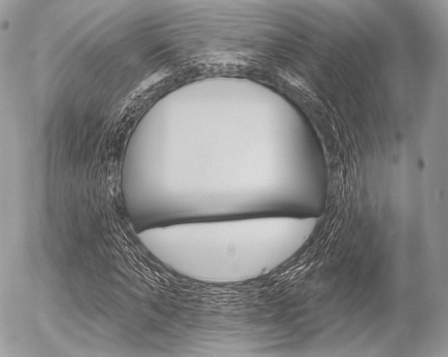 X0000056370870200508260918