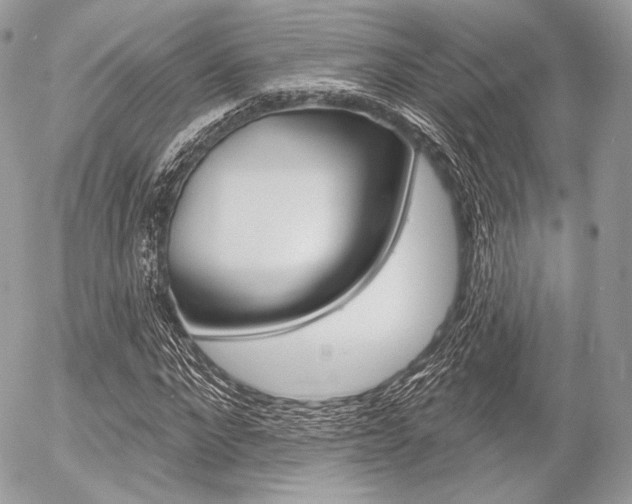 X0000056370872200508260918
