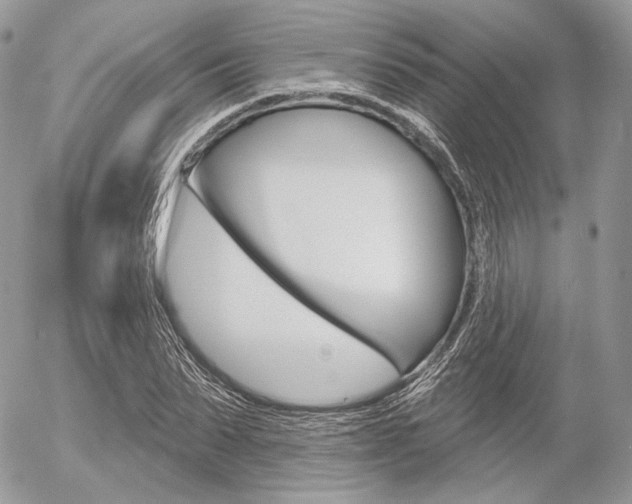 X0000056370879200508260918