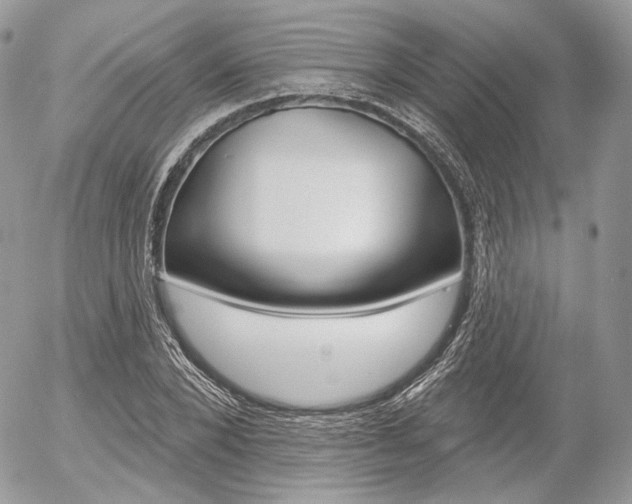 X0000056370880200508260918