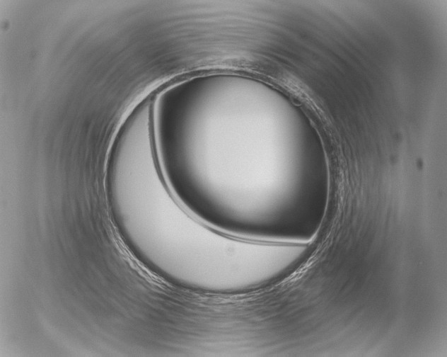 X0000056370884200508260918
