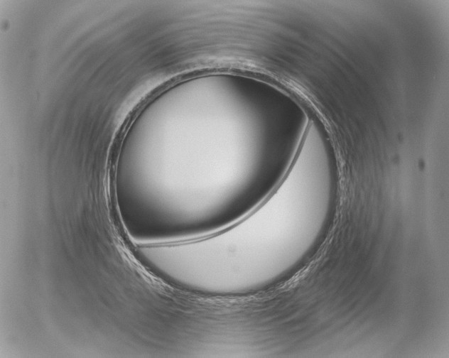 X0000056370888200508260917