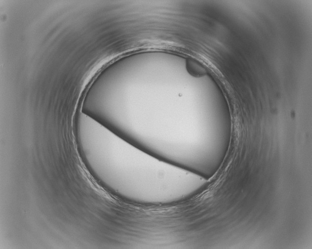 X0000056370891200508260917