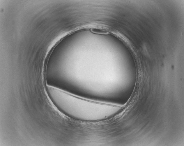 X0000056370902200508260917