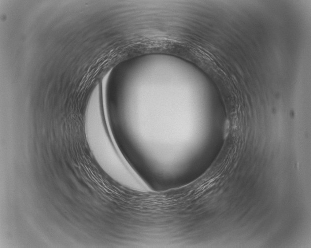 X0000056370916200508260916