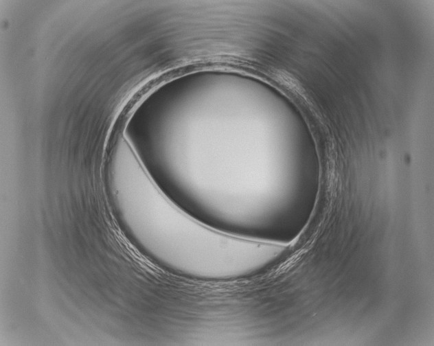 X0000056370924200508260916