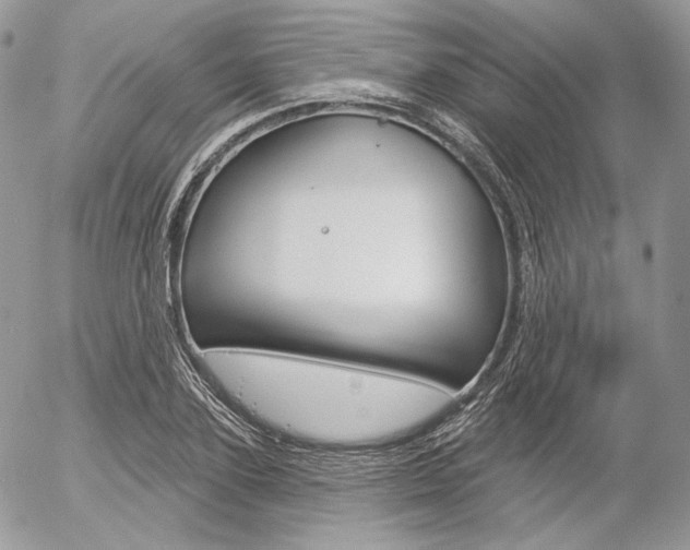 X0000056370931200508260917