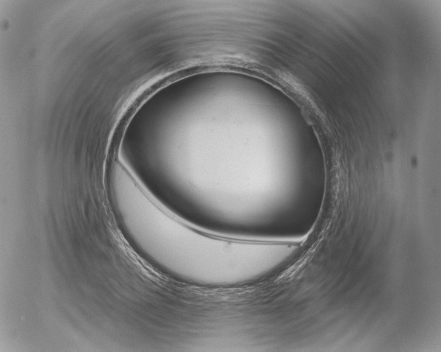 X0000056370932200508260917
