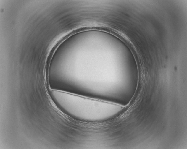 X0000056370935200508260917