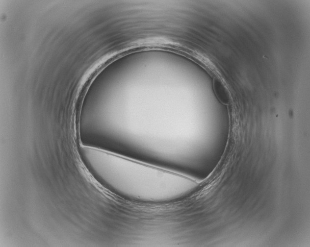 X0000056370939200508260917