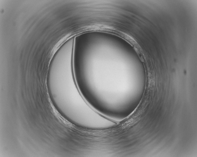X0000056370946200508260917
