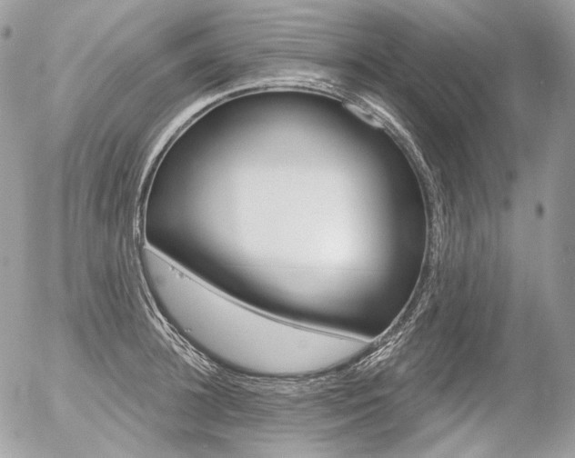 X0000056370948200508260917