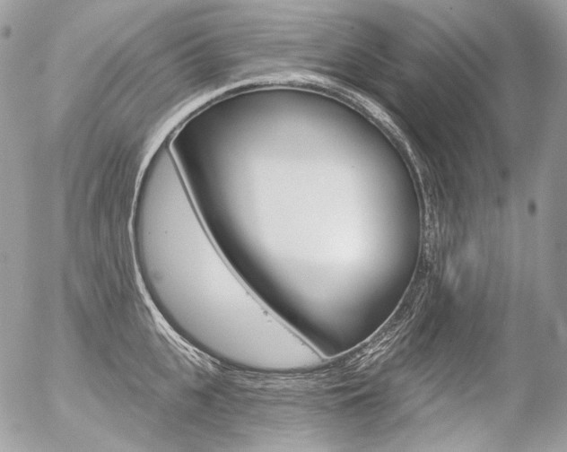 X0000056370951200508260917