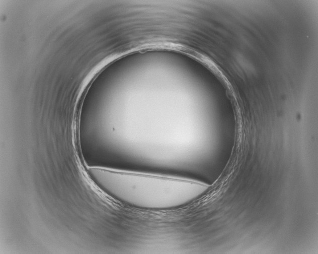 X0000056370955200508260917