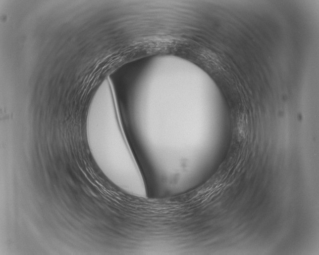 X0000056370964200508260916