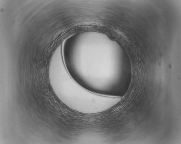 X0000056370965200508260916