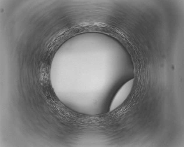 X0000056370966200508260916