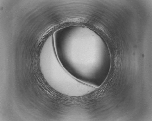 X0000056370968200508260916