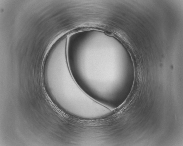 X0000056370976200508260916