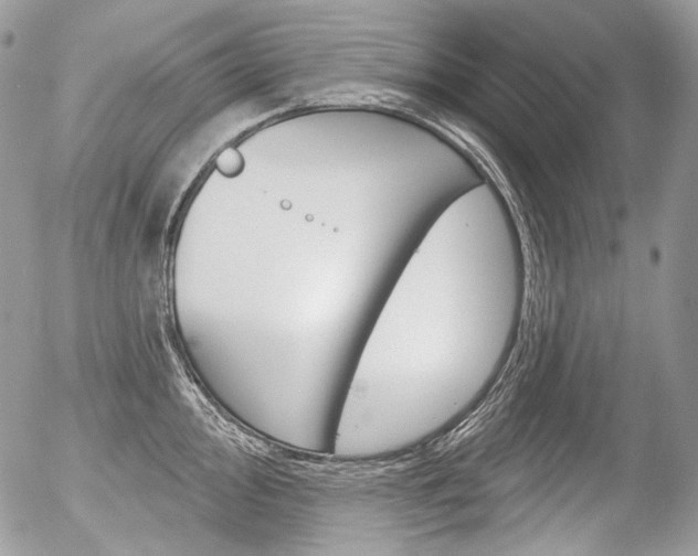 X0000056371000200508260916