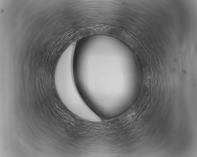 X0000056371010200508260915