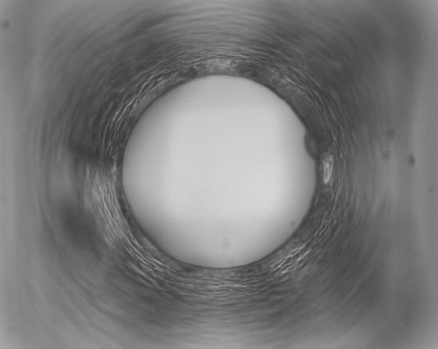 X0000056371011200508260915