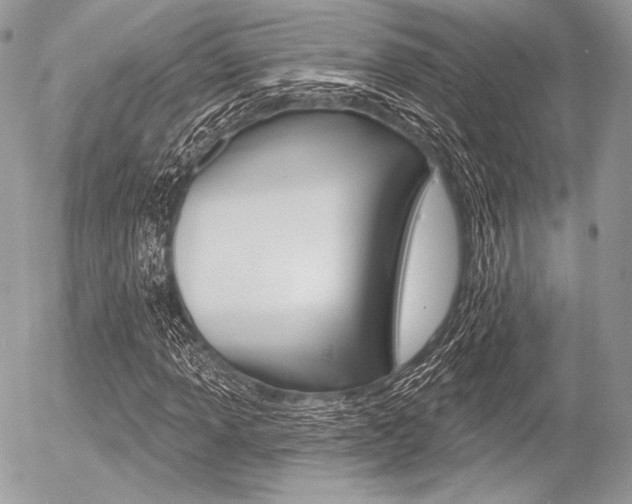 X0000056371013200508260915