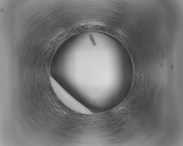 X0000056371014200508260915