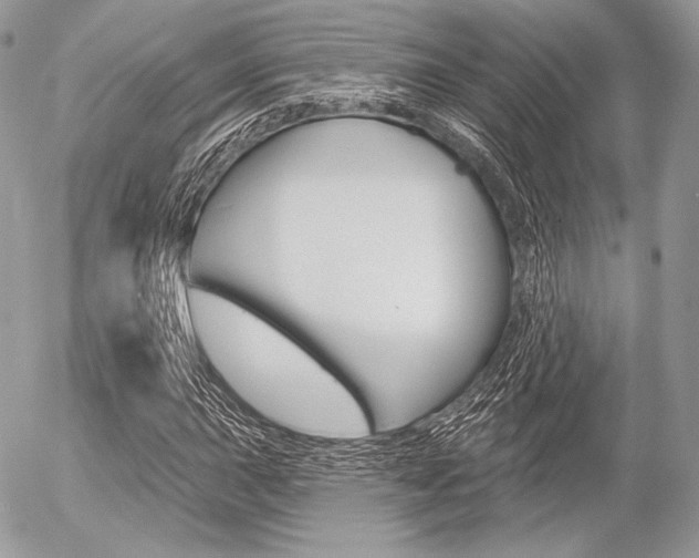 X0000056371015200508260915