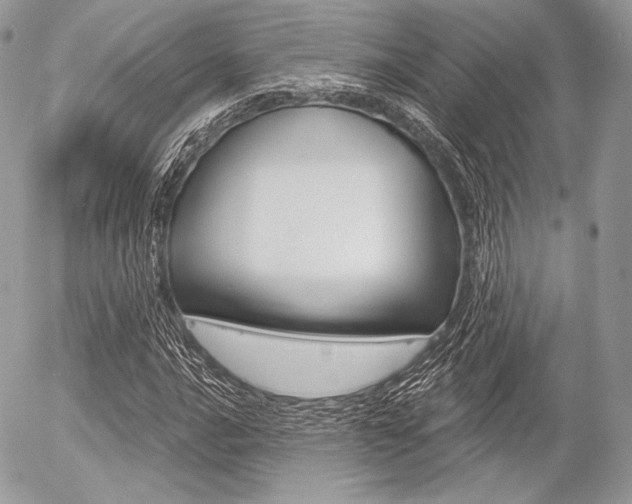 X0000056371016200508260915