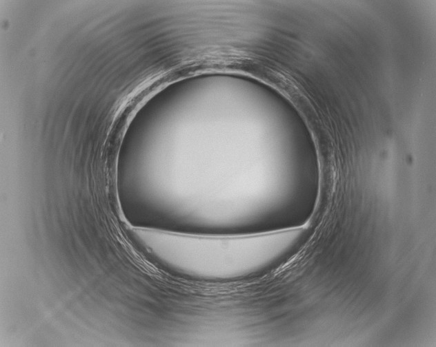 X0000056371018200508260915