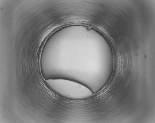 X0000056371023200508260915