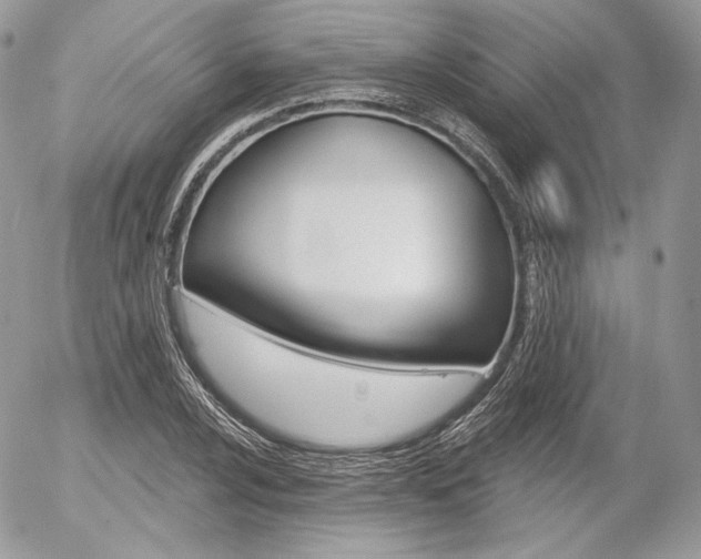 X0000056371024200508260915