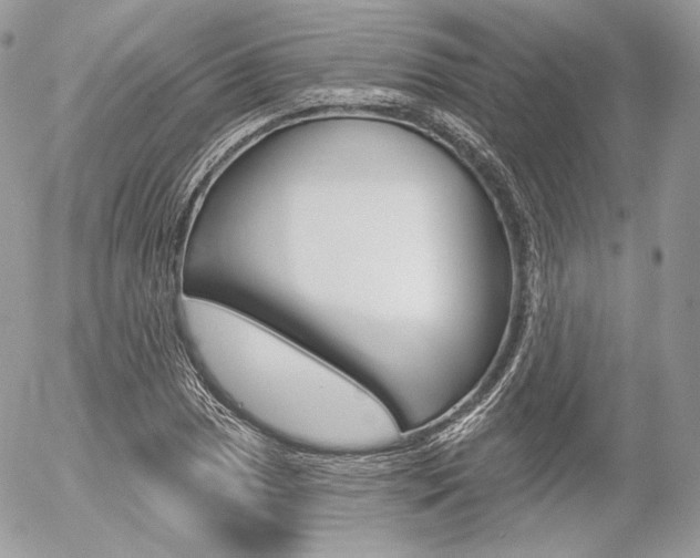 X0000056371025200508260915