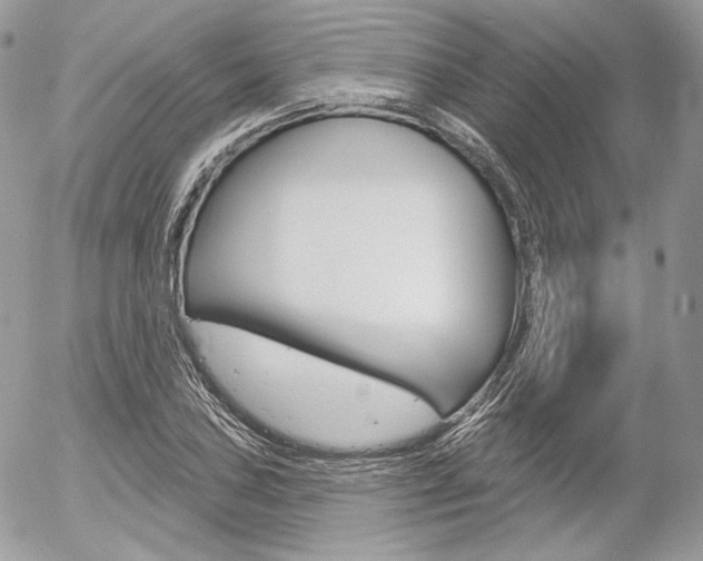 X0000056371027200508260915