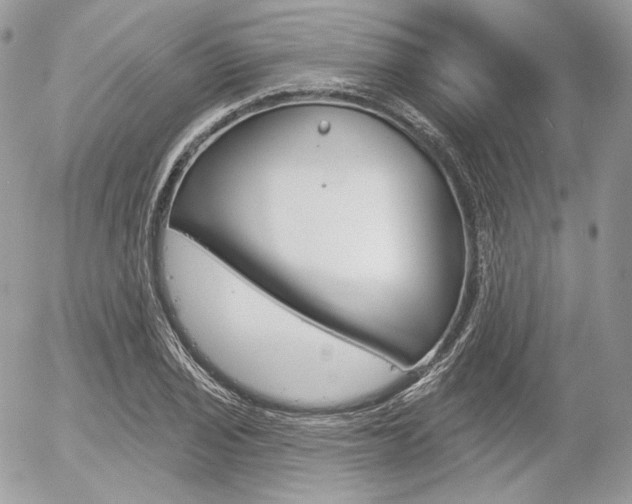 X0000056371029200508260915