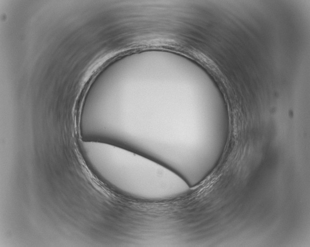 X0000056371031200508260915