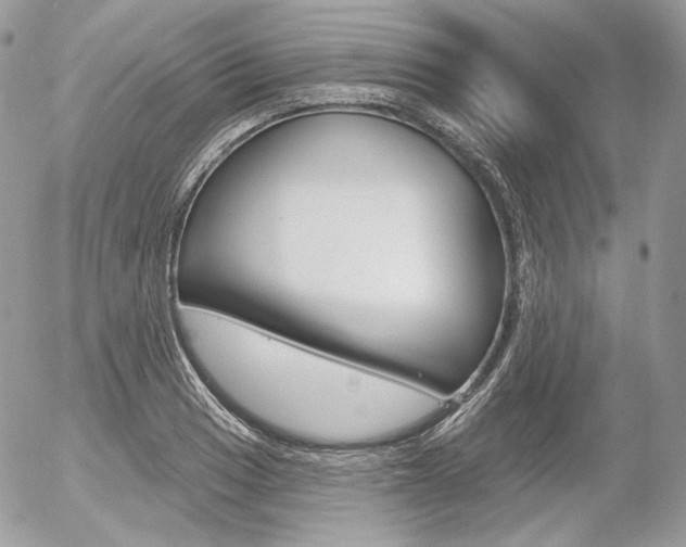 X0000056371033200508260915