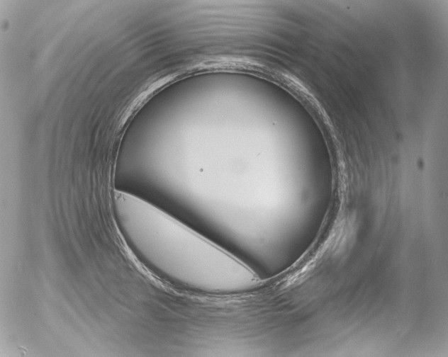 X0000056371041200508260915