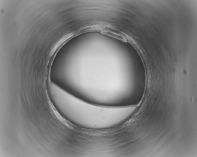 X0000056371042200508260915