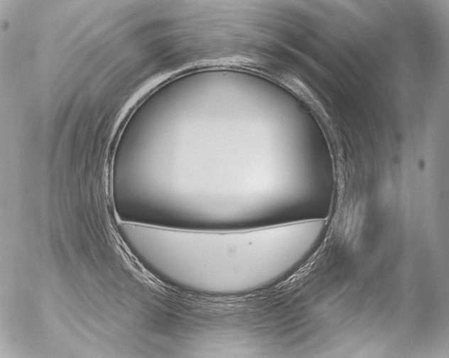 X0000056371044200508260915