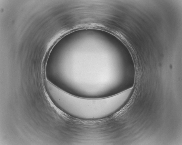 X0000056371046200508260915